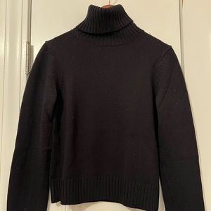 Theory wool turtleneck